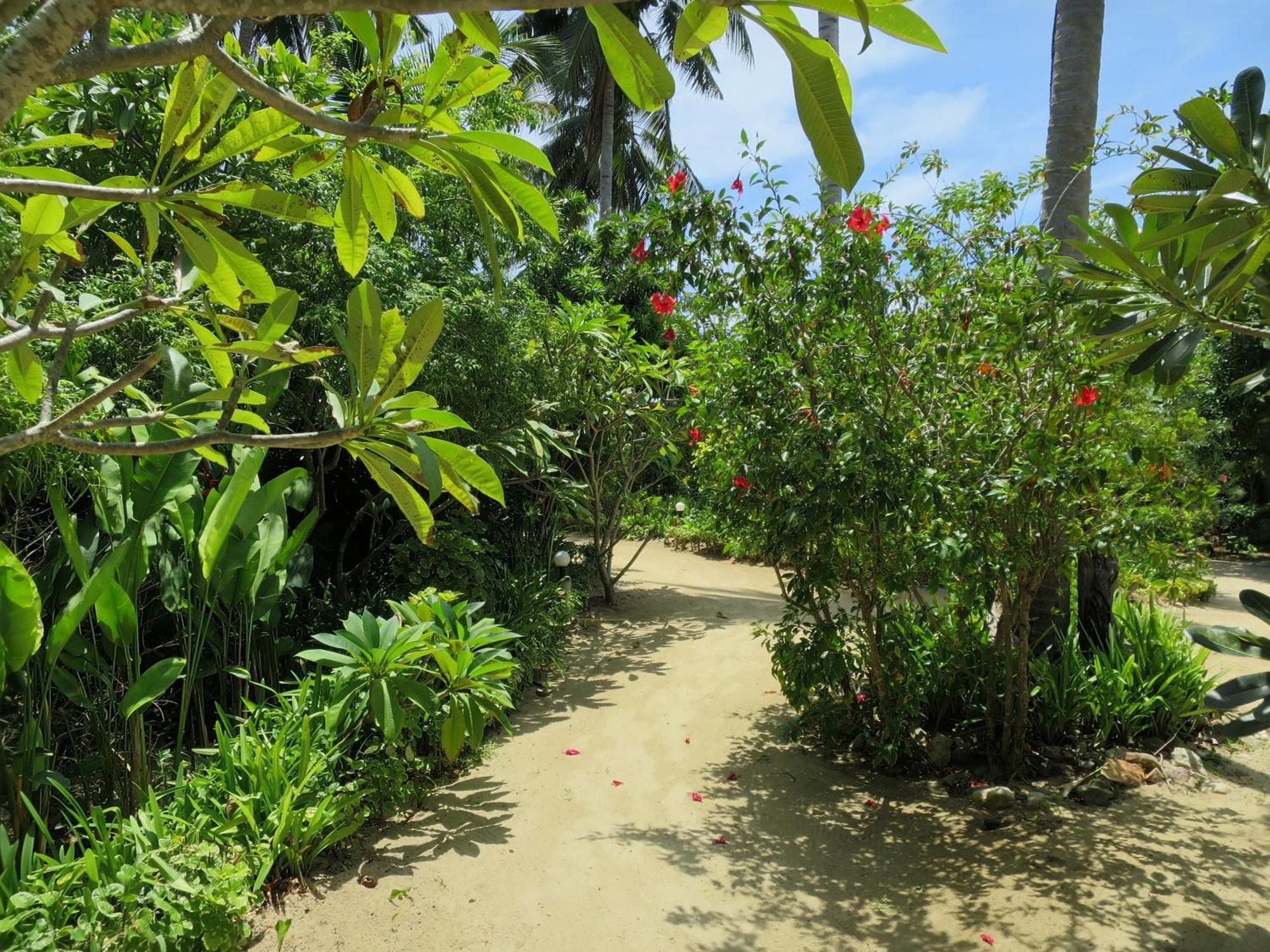 Seaflower Bungalows スリタヌ 部屋 写真